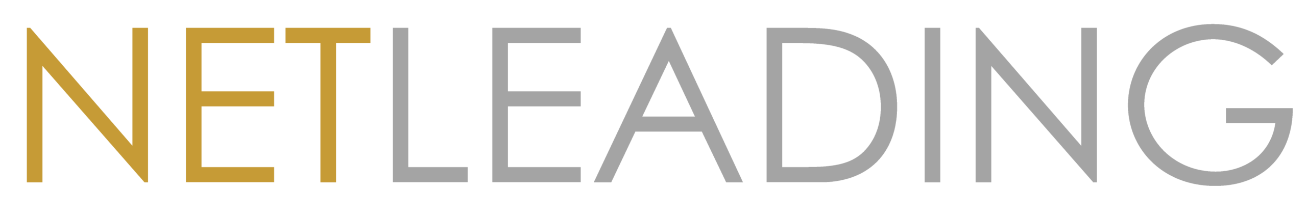 NETLEADING Logo Edgar Martín